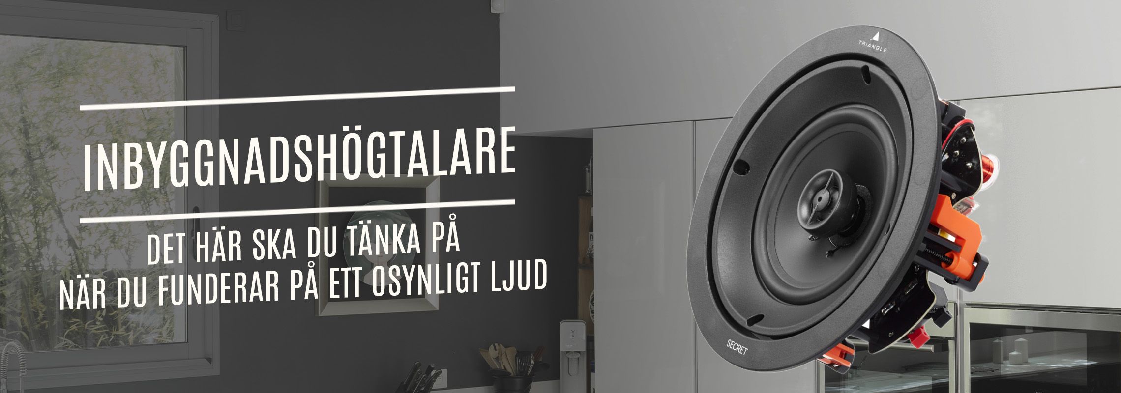 Inbyggnadshögtalare 